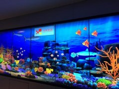 畫(huà)畫(huà)水族館是什么