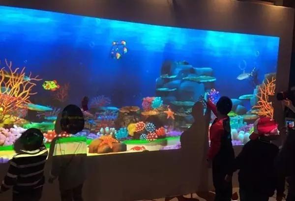 畫畫水族館